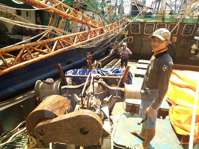 Nước biển mặn và chuyện "con voi không thể chui lọt lỗ kim"